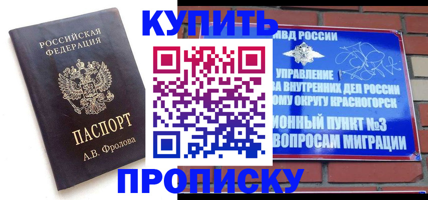 прописка поиск в Курганинске